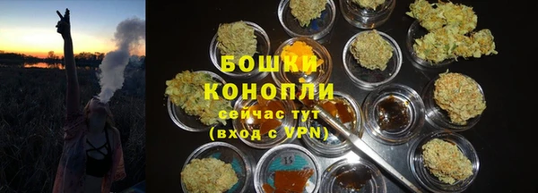 Альфа ПВП Лиски