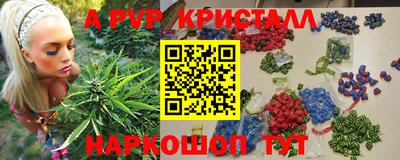 крисы Жуковский