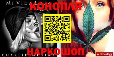 крисы Жуковский