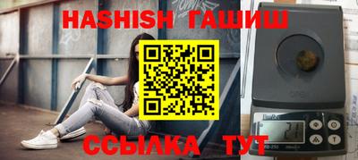 гидра Заводоуковск