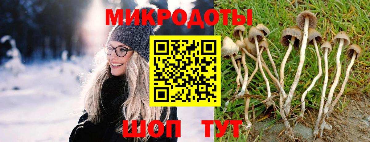 Псилоцибиновые грибы мухоморы  Вход с VPN  Салават 