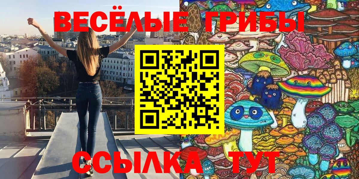 Псилоцибиновые грибы ЛСД Салават